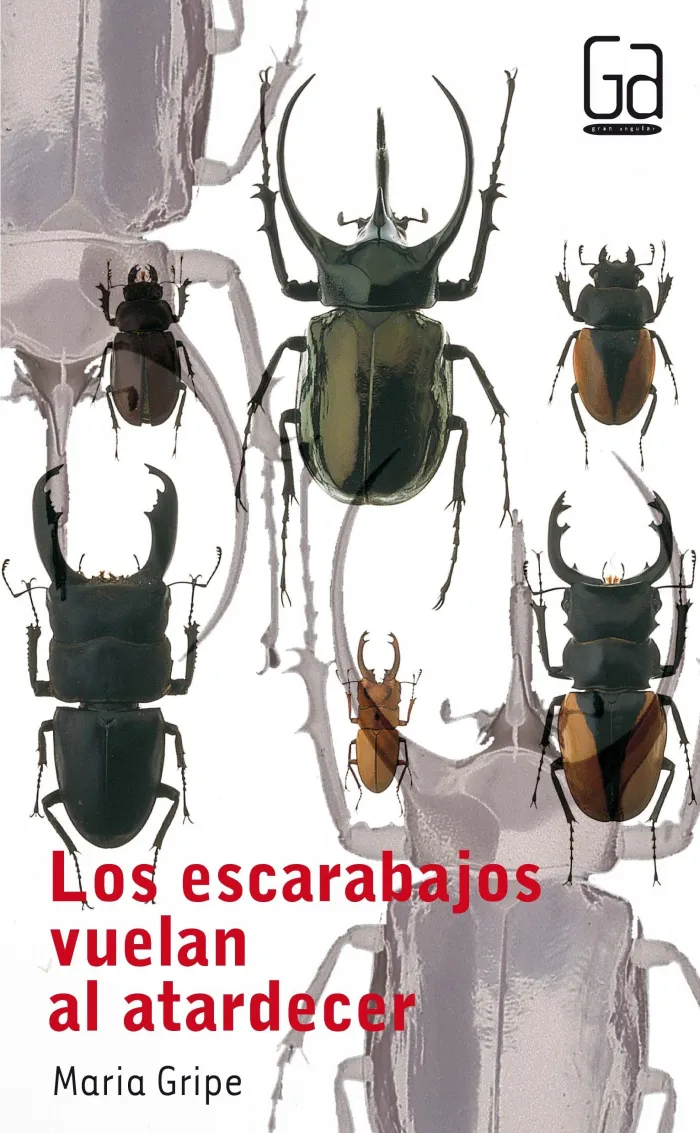 Los Escarabajos Vuelan Al Atardecer
