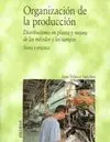 Organización de la Producción