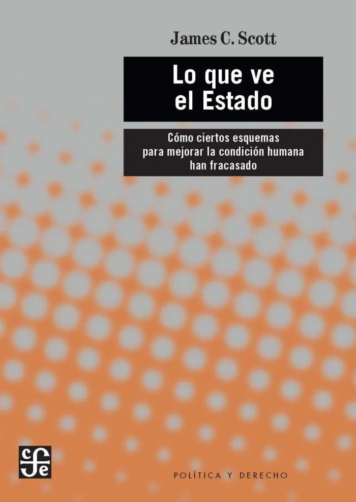 Lo que Ve el Estado