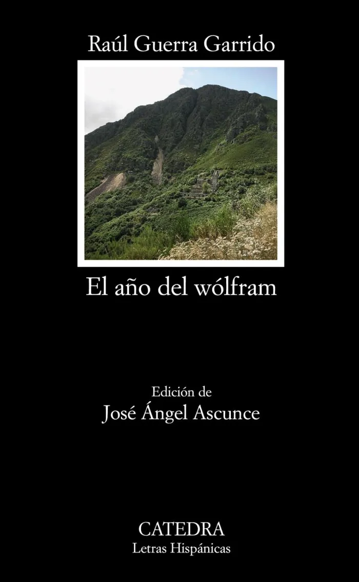 El Año del Wólfram