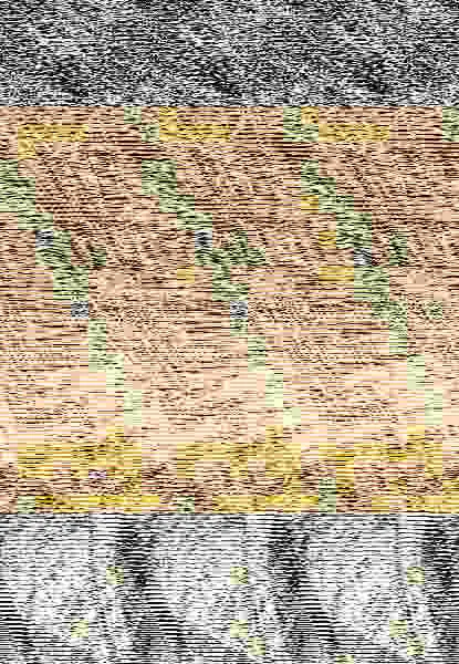 Pura Lujuria