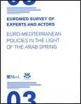 Euromed Survey Of Experts And Actors Iii.