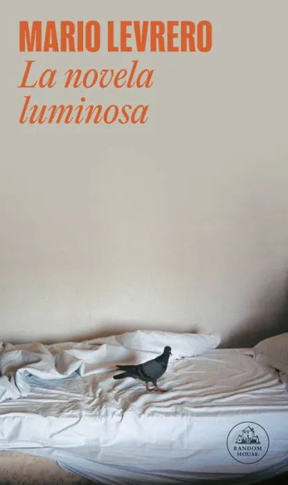 La Novela Luminosa