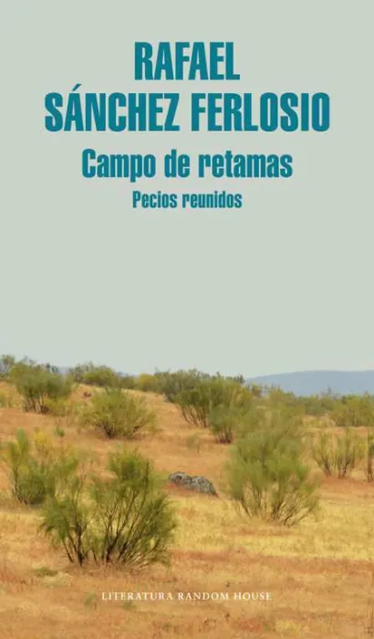 Campo de Retamas