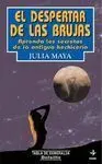 Despertar de las Brujas