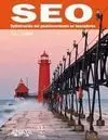 Seo. Optimización del Posicionamiento en Buscadores