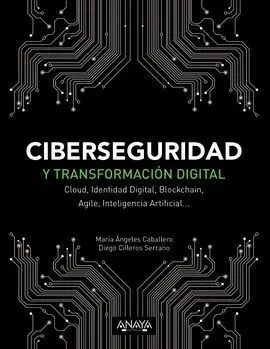 Ciberseguridad y Transformacion Digital
