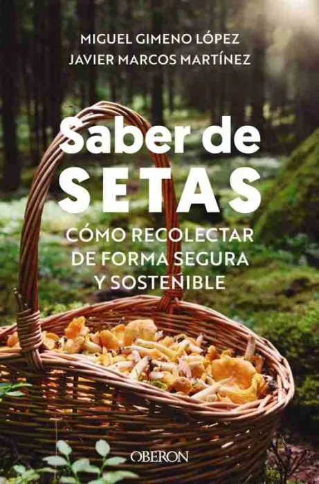 Saber de Setas