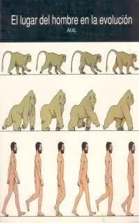 El Lugar del Hombre en la Evolucion