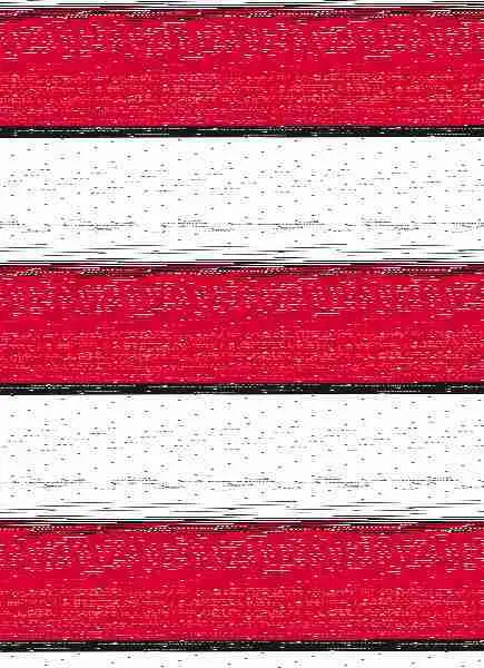Cuestiones Actuales Sobre la Protección de los con