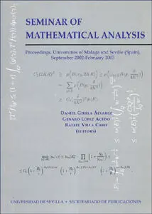 (2002-2003) Seminar Of Mathematical Analysis (2002-2003).