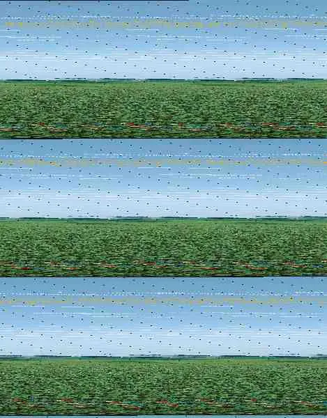 Fundamentos de Fisiologia Vegetal