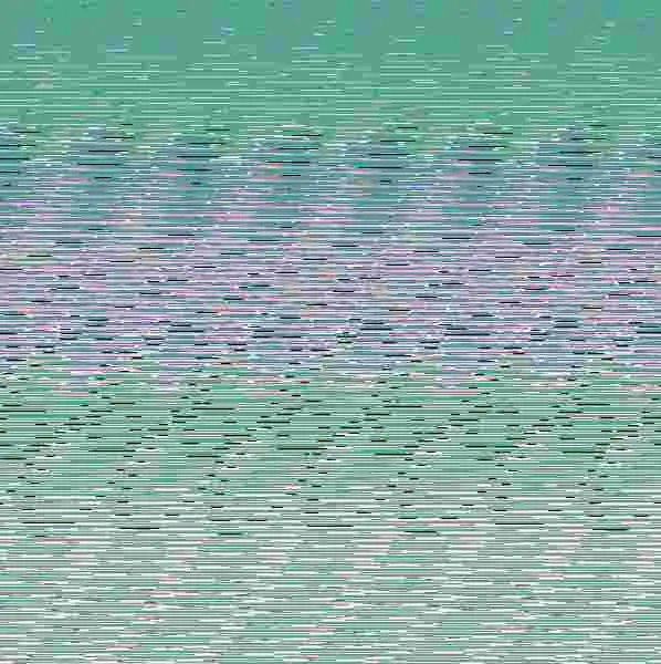 ¡Oinc! ¡Oinc! (Libro con Sonidos)