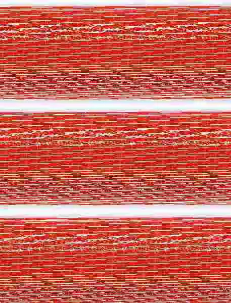 1Batx. Religió Catòlica (2008)