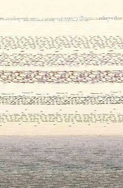 Gramática Parda