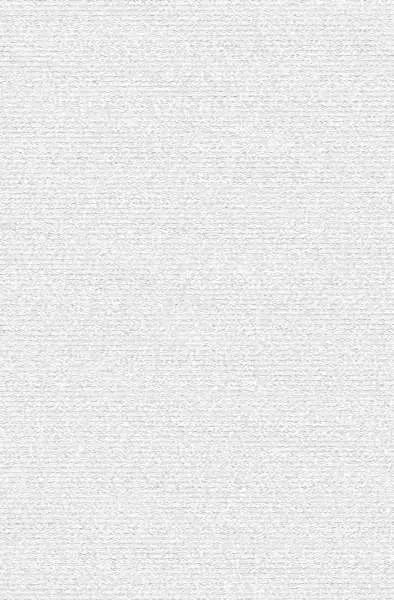 El Hombre Invisible