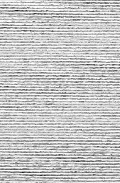El Color de la Libertad