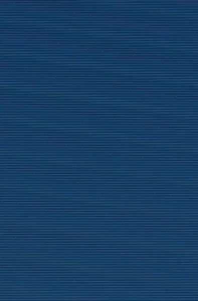 La Luz que no Puedes Ver (Campaña de Verano Edición Limitada)