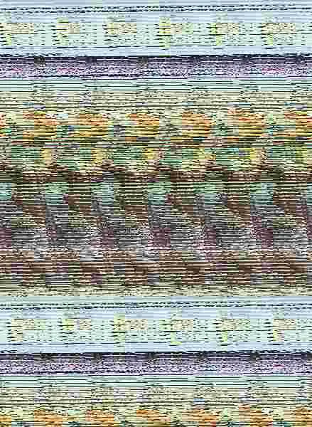Monster Chapapote