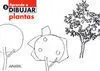 Aprende a Dibujar Plantas, Educación Primaria, 3 Ciclo