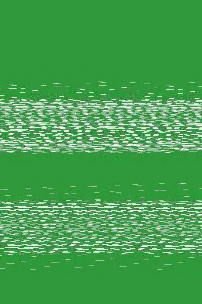 Los Errores del Software y Cómo Prevenirlos