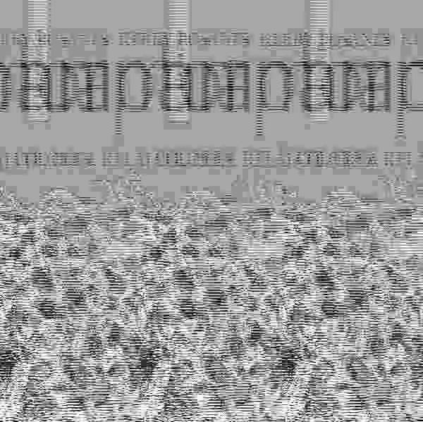 Animorphia