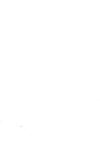 Diario de un Padre Primerizo