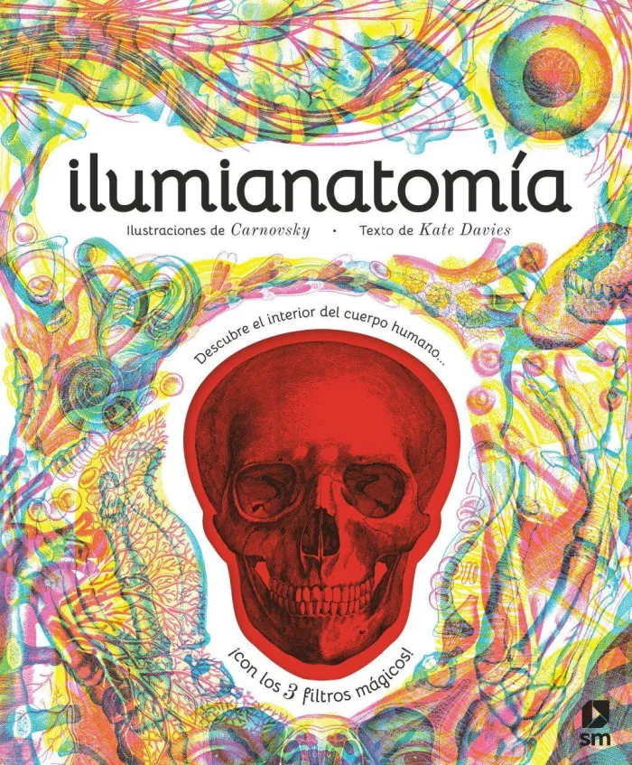 Ilumianatomia