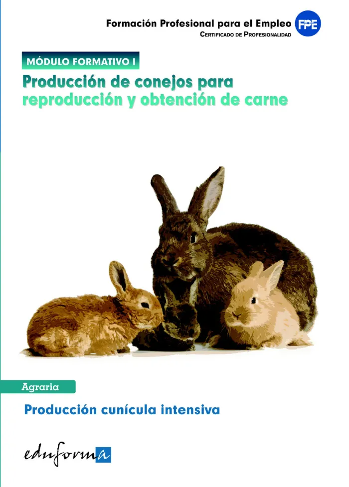 Módulo Formativo 1