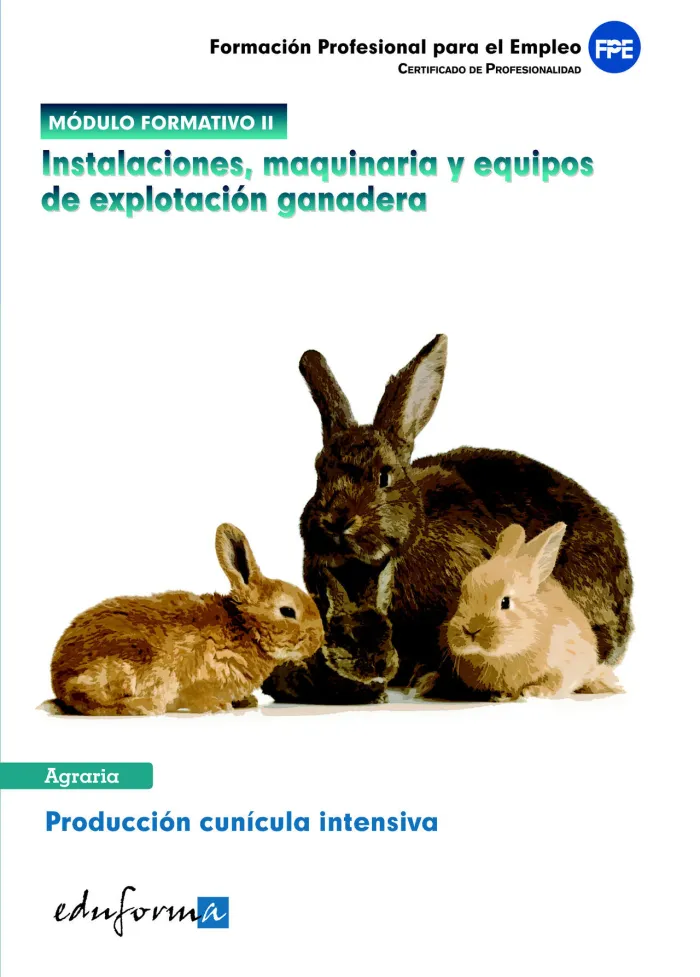 Módulo Formativo Ii