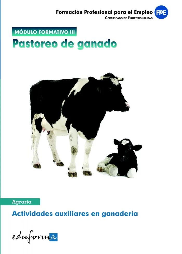 Módulo Formativo 3