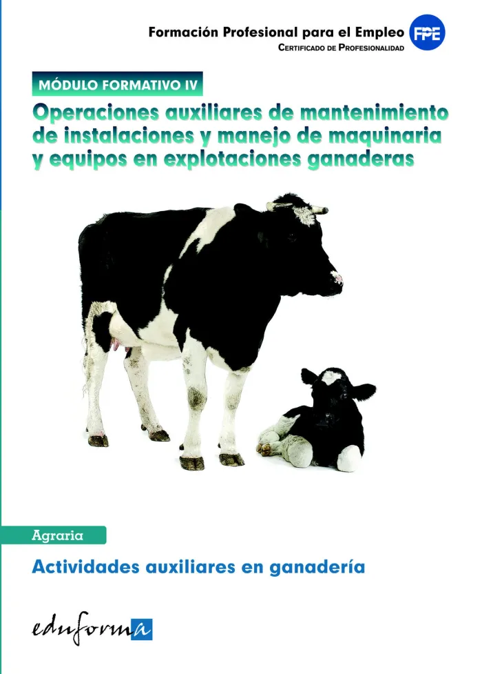 Módulo Formativo 4