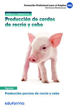 Módulo 1