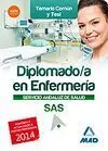 Diplomado en Enfermería del Servicio Andaluz de Salud. Temario Común y Test 2014