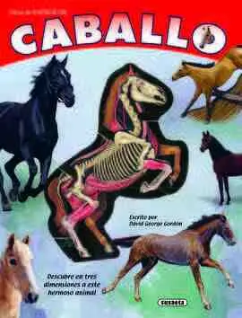 El Caballo (Viaja Al Int