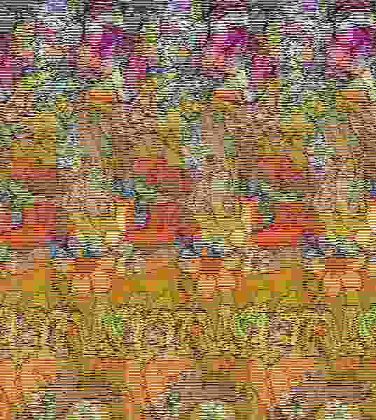 Monstruos