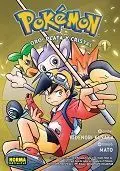 Pokémon