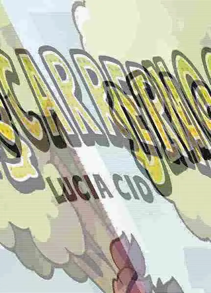 Dinocarreras