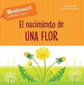 El Nacimiento de una Flor (Vvkids)