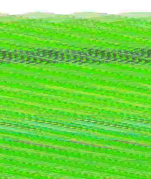 Verde Rana