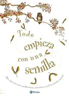 Todo Empieza con una Semilla