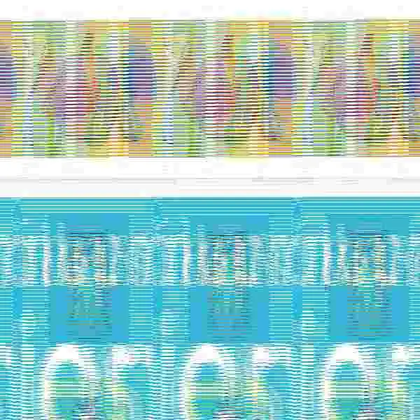 Mi Primer Álbum de las Estaciones. ¡Aprendo Sobre el Tiempo!