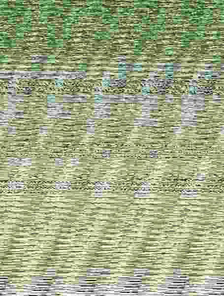 Árboles