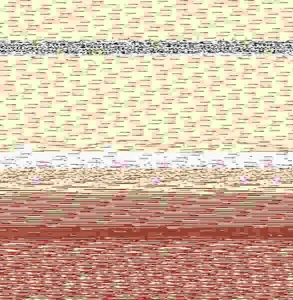Judo