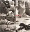 Robert Capa Obra Fotografica