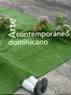 Arte Contemporaneo Dominicano
