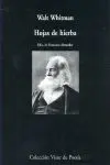 Hojas de Hierba