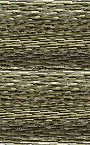 Guía Camerún 2007