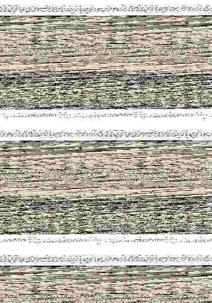 Hieroglyphica