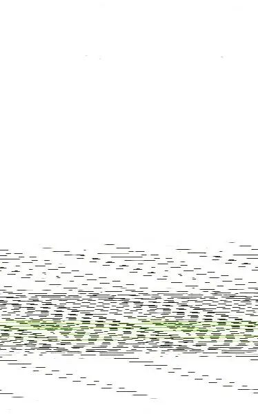 Novel·la D